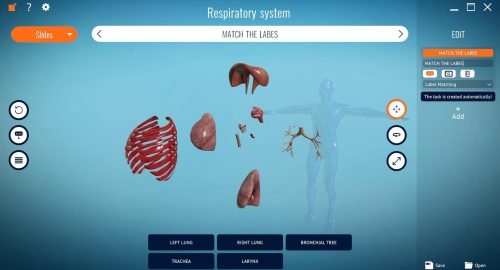 Interactive DNA structure