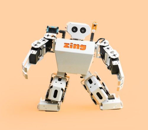 Programmable robot